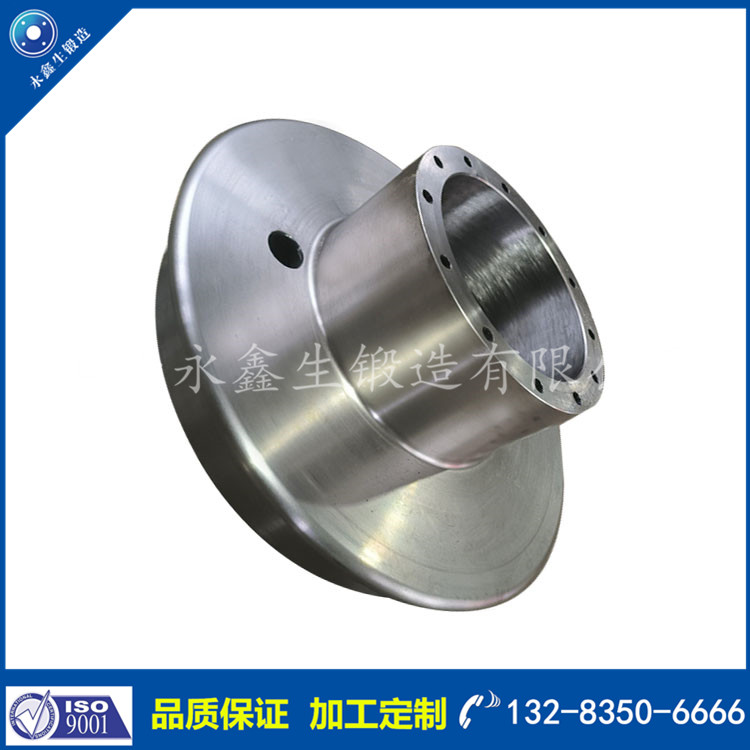 電動(dòng)轉(zhuǎn)盤車輪鍛件22.jpg
